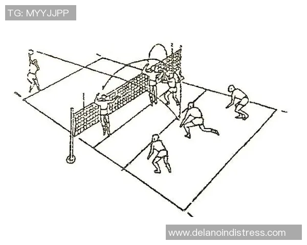 广州排球队的战术解析与技术控制深度剖析 广州排球队的战术解析与技术控制深度剖析