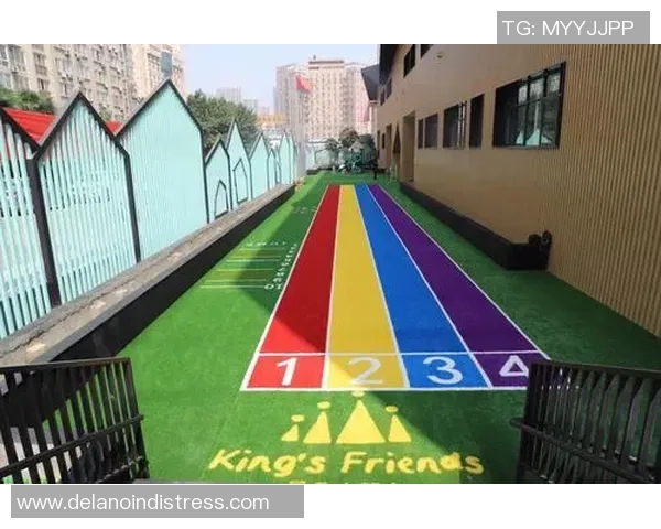 彩虹足球明星的名字及其背后的故事与成就解析