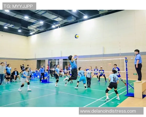 杭州排球队逆袭之路的真实记录与背后故事揭秘