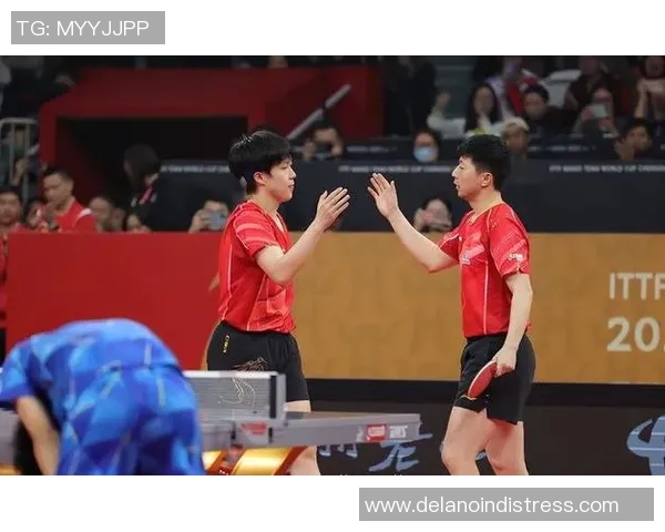 武汉乒乓球队在全国团队协作排行榜中荣获第七名的佳绩分析