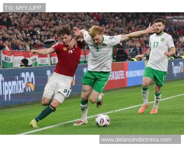 爱尔兰足球明星盘点及其在国际赛场上的辉煌成就与影响力 爱尔兰足球明星盘点及其在国际赛场上的辉煌成就与影响力