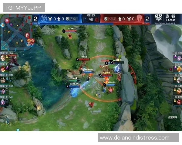 专业解读：TES的防守打法