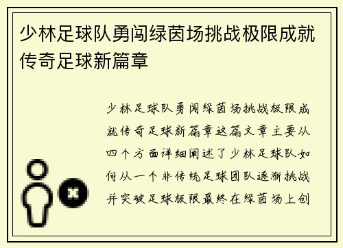 少林足球队勇闯绿茵场挑战极限成就传奇足球新篇章
