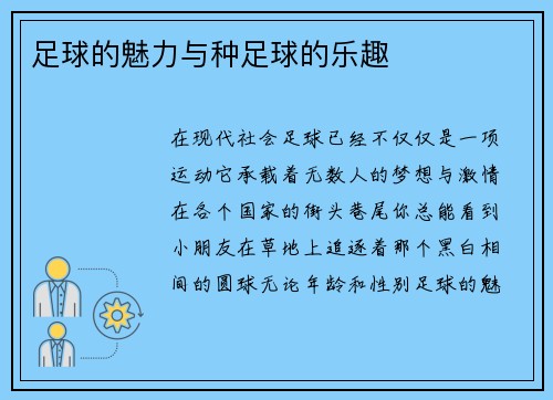足球的魅力与种足球的乐趣