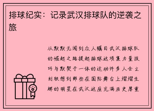 排球纪实：记录武汉排球队的逆袭之旅