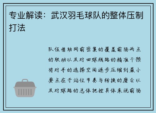 专业解读：武汉羽毛球队的整体压制打法