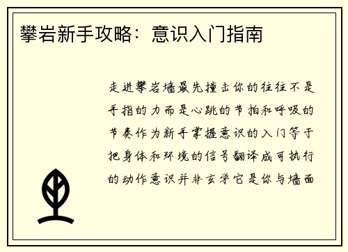 攀岩新手攻略：意识入门指南