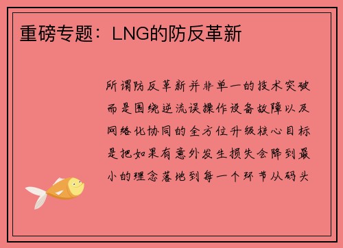 重磅专题：LNG的防反革新