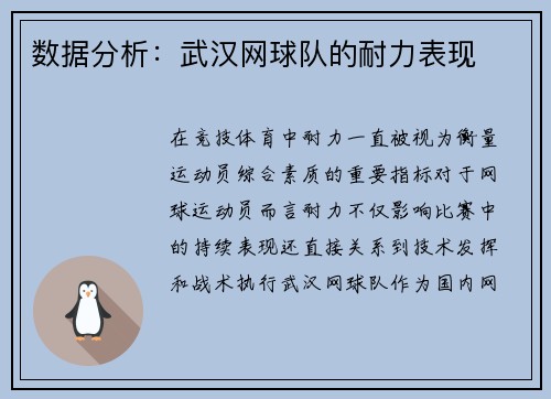 数据分析：武汉网球队的耐力表现